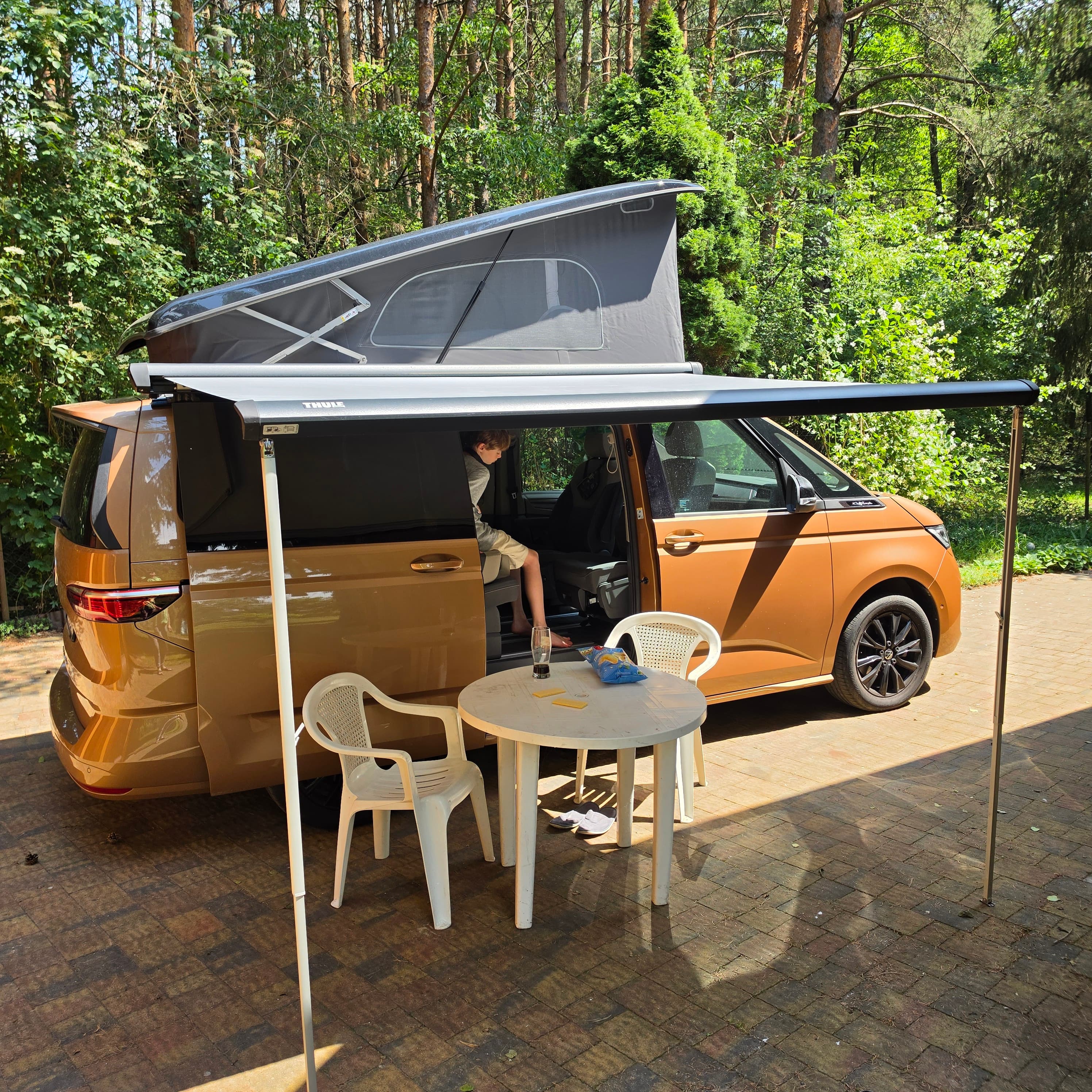 VW California T7 z rozłożoną markizą i podniesionym dachem w leśnym otoczeniu